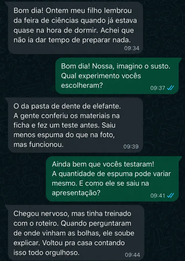 Print de conversa no WhatsApp — depoimento de mãe sobre o experimento da pasta de dente de elefante